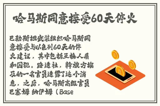 速播怎么看教程